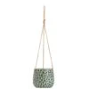 Hangpot Hangend Paul - Donkergroen - 11xØ12 Cm -Tuinwinkel 71127133