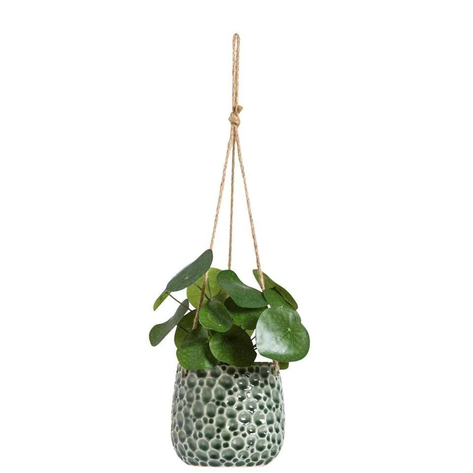 Hangpot Hangend Paul - Donkergroen - 11xØ12 Cm 4 Hangpot Hangend Paul - Donkergroen - 11xØ12 Cm - Afbeelding 2