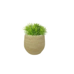 Steege Plantenpot - Keramiek - Beige - 18 X 16 Cm 6 Steege Plantenpot - Keramiek - Beige - 18 X 16 Cm -Tuinwinkel 7c38afe7bc3b46e19ad95760c1e634a4