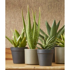 Mica Decorations Bloempot - Taupe - Relief - Keramiek - 28 X 26 Cm -Tuinwinkel be92bb966e3148e385b044c7f134e226