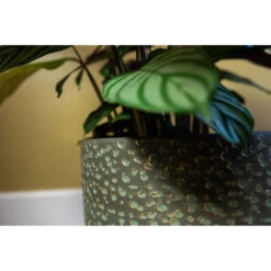 Steege Plantenpot Rinca - Groen - Lava Look - 15 X 13 Cm -Tuinwinkel cb25d371b41f4f87815024f9ea625966