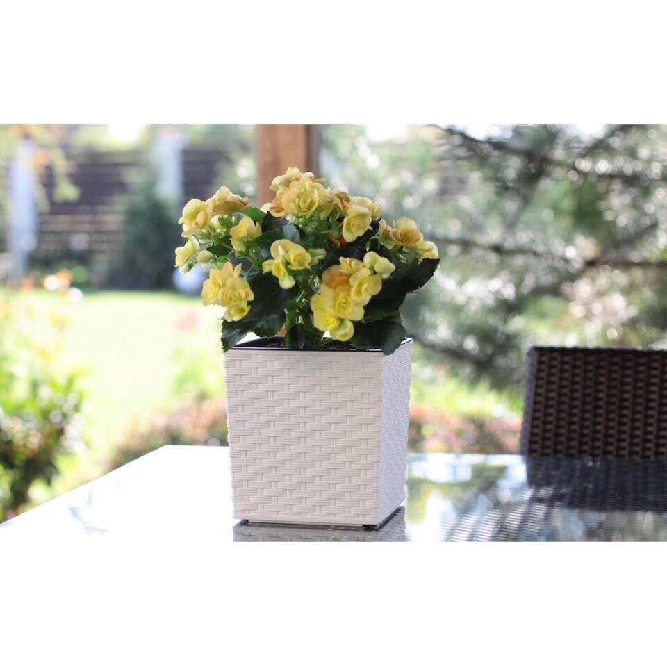 Prosperplast Plantenbak Rato - Wit - Rotan - Kunststof - 26 Cm 6 Prosperplast Plantenbak Rato - Wit - Rotan - Kunststof - 26 Cm - Afbeelding 4