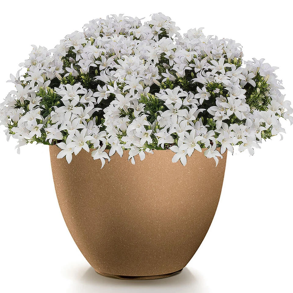 Prosperplast Plantenpot Sevilla - Kunststof - Hout/beige - D39 Cm 4 Prosperplast Plantenpot Sevilla - Kunststof - Hout/beige - D39 Cm - Afbeelding 2