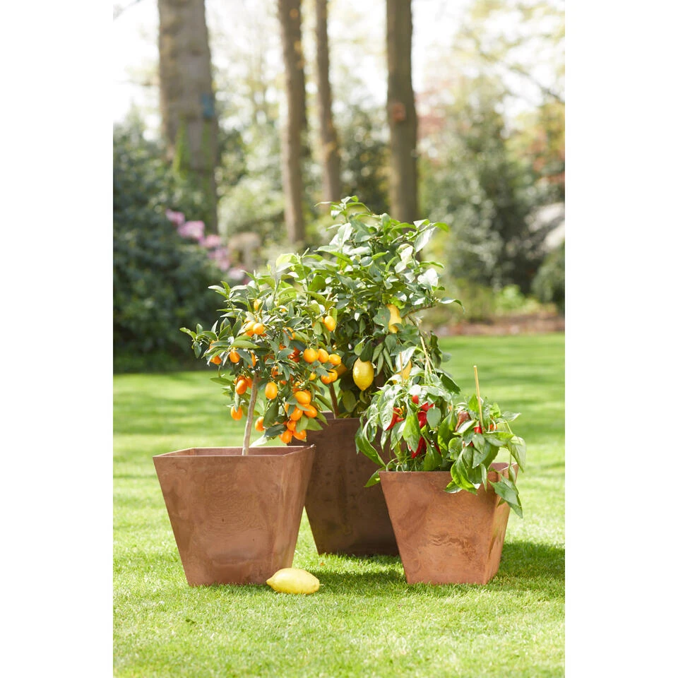 Steege Plantenbak - Gerecycled Kunststof - Terra Bruin - 37 X 17 Cm 4 Steege Plantenbak - Gerecycled Kunststof - Terra Bruin - 37 X 17 Cm - Afbeelding 2