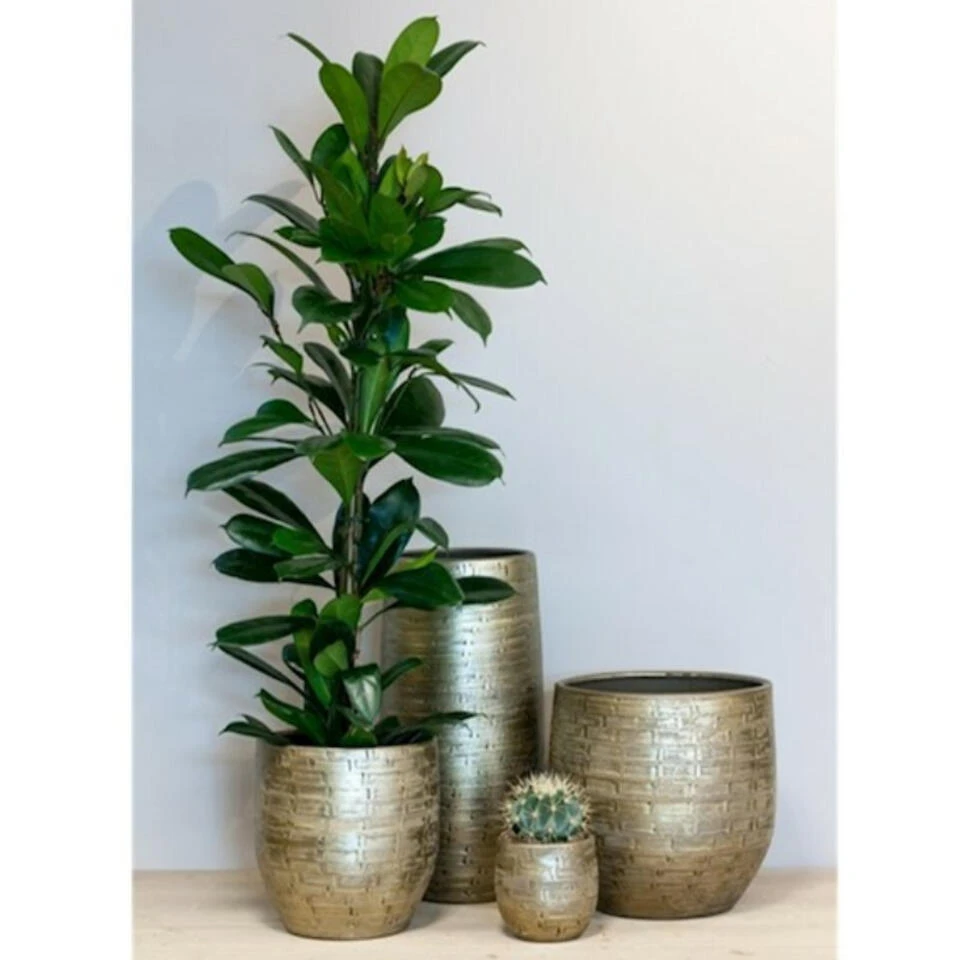 Bela Arte Plantenpot - Keramiek - Goud Glans - D29-H27 Cm 4 Bela Arte Plantenpot - Keramiek - Goud Glans - D29-H27 Cm - Afbeelding 2