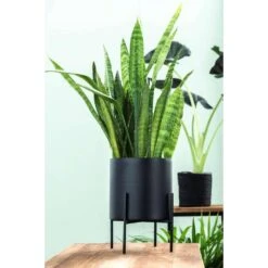 Bloempot Op Pootjes Niek - Zwart - 12/18xØ12,5 Cm -Tuinwinkel sf 71124031 1010